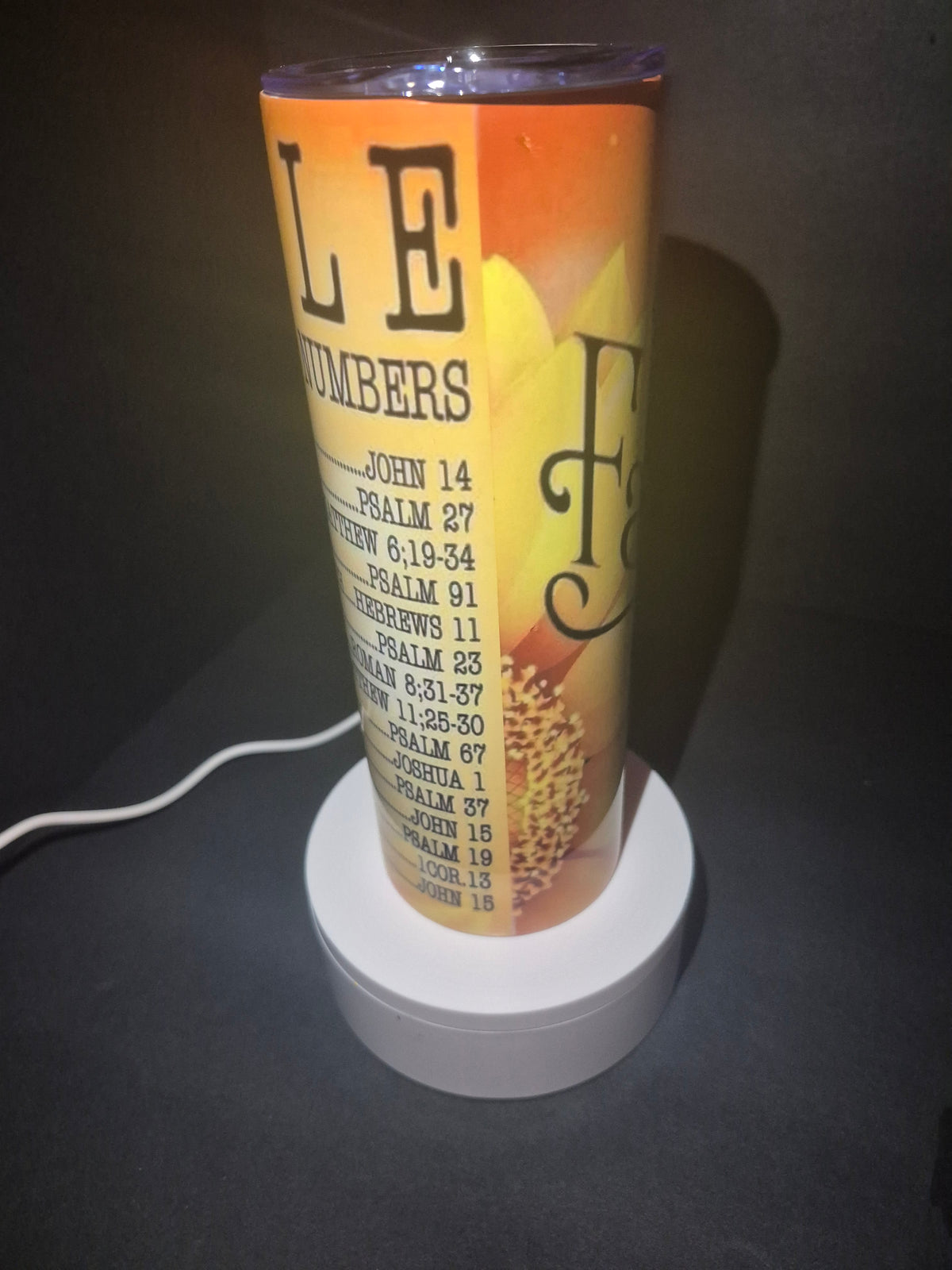 Emergency BIBLE numbers 20 oz stainless steel tumbler