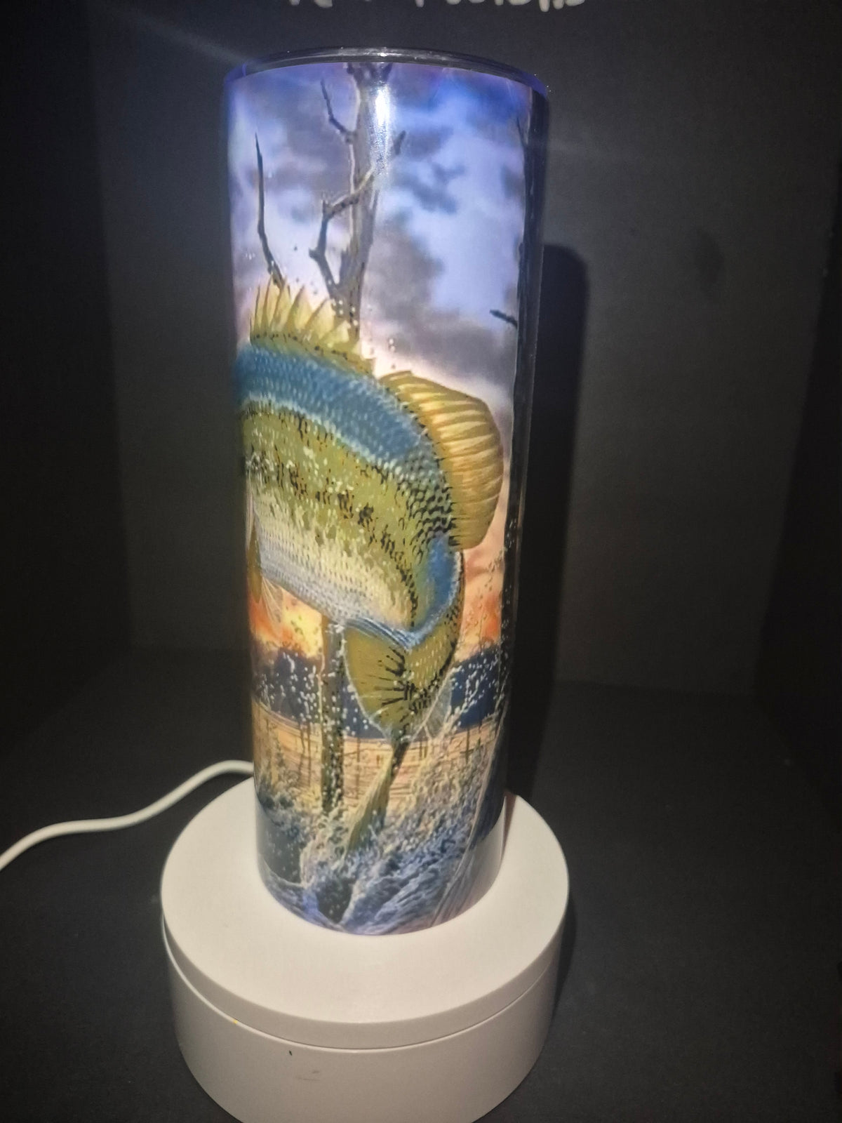 Eat sleep fish repeat 20 oz stainless steel tumbler