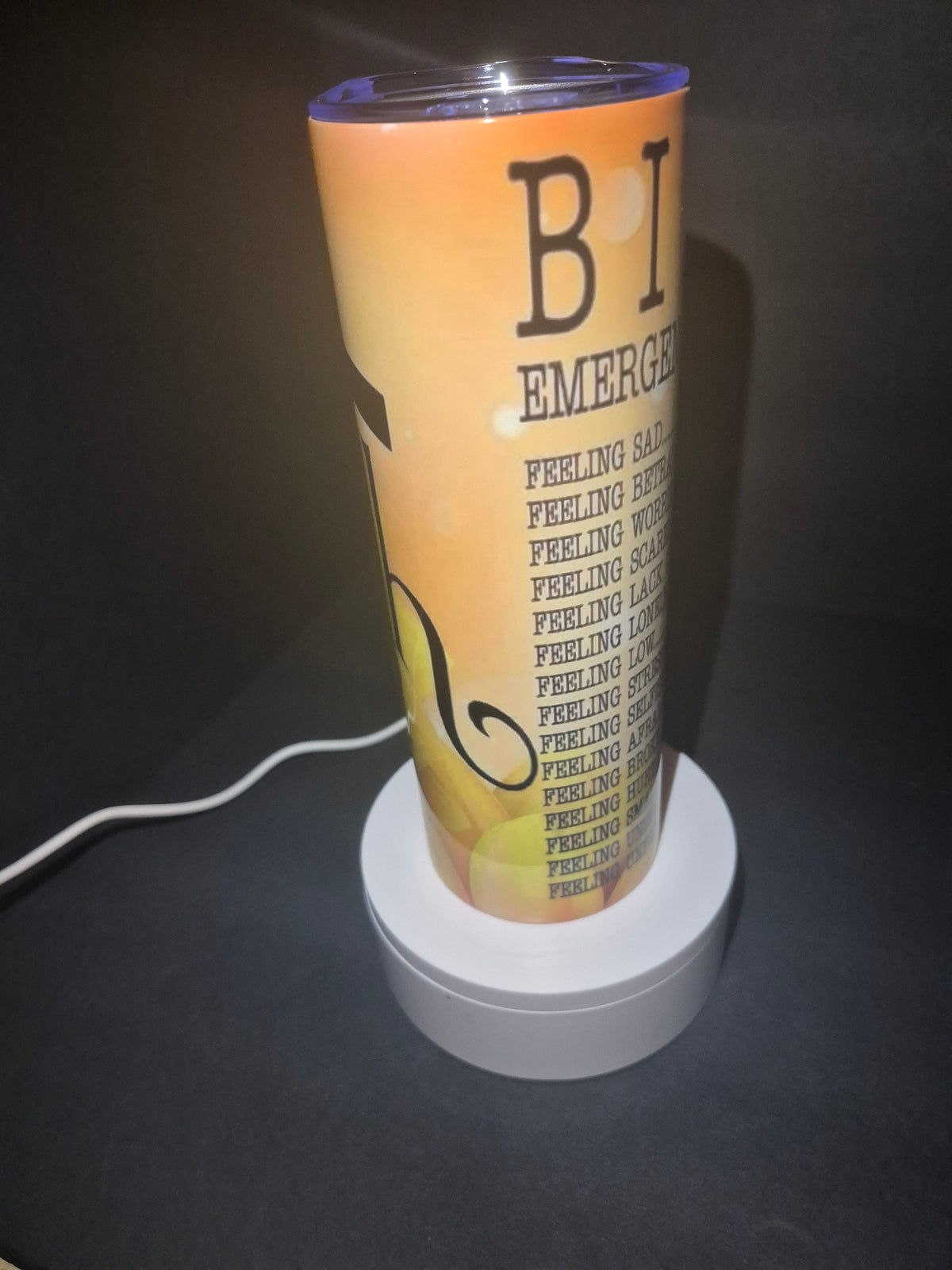 Emergency BIBLE numbers 20 oz stainless steel tumbler