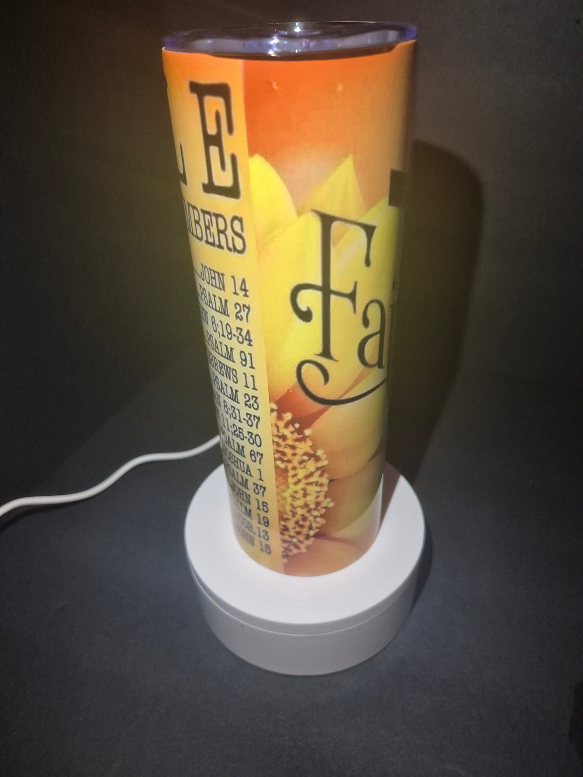 Emergency BIBLE numbers 20 oz stainless steel tumbler