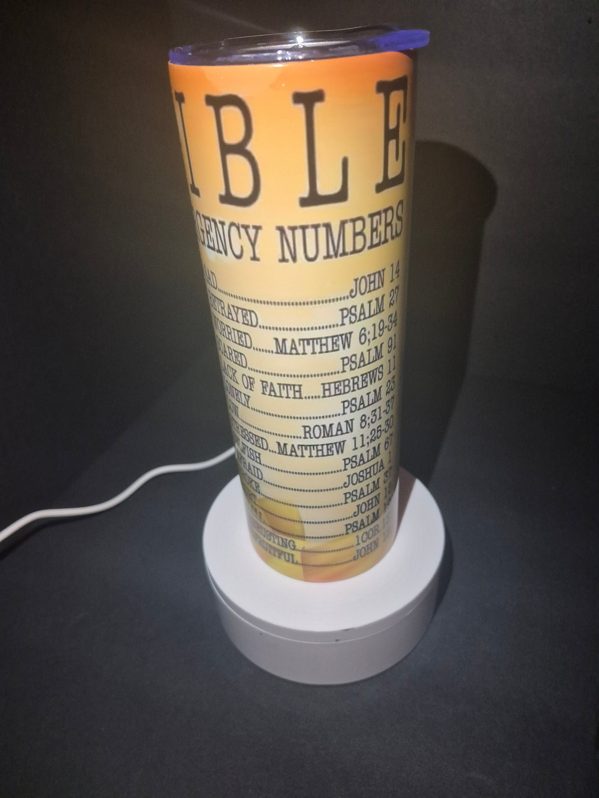 Emergency BIBLE numbers 20 oz stainless steel tumbler