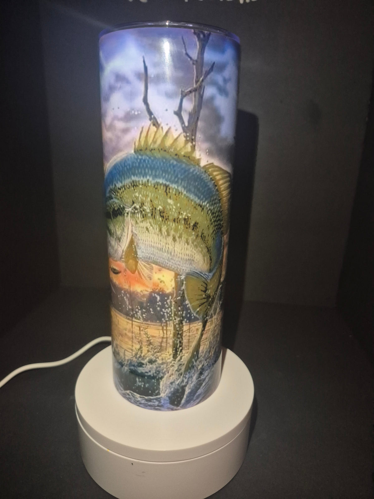 Eat sleep fish repeat 20 oz stainless steel tumbler