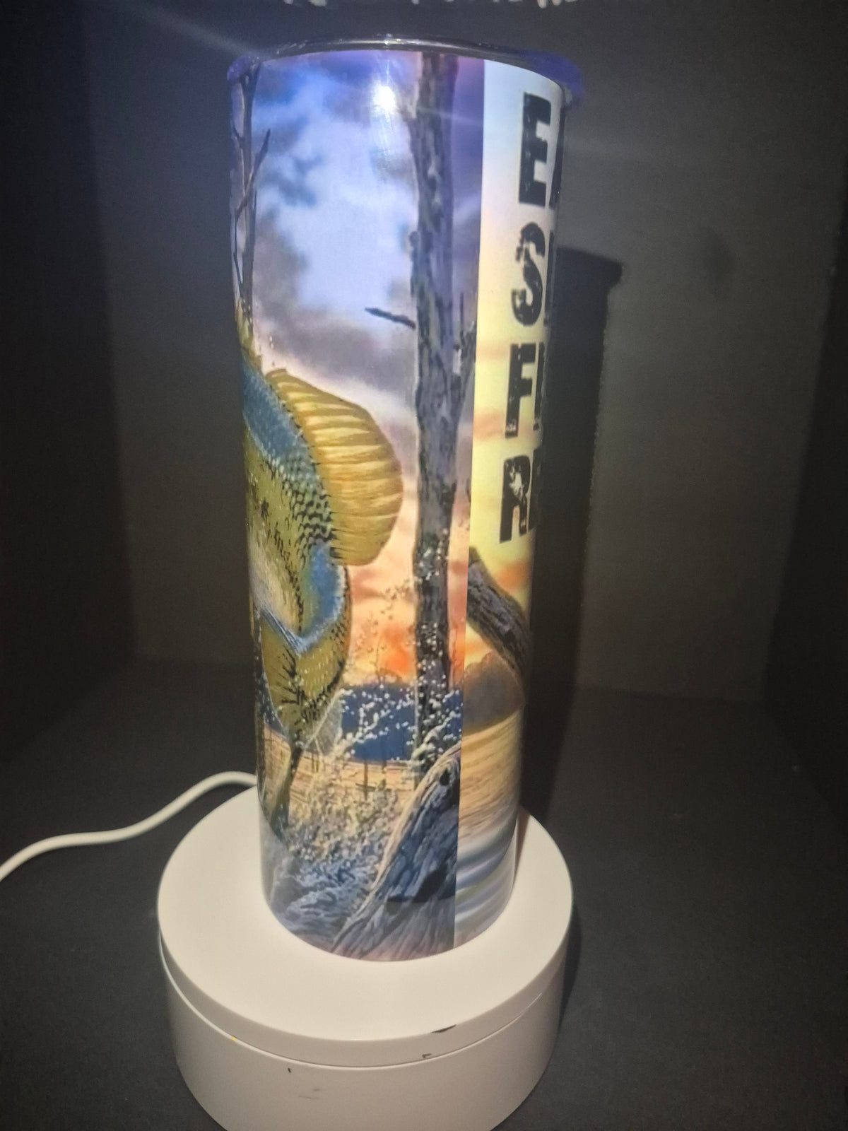 Eat sleep fish repeat 20 oz stainless steel tumbler