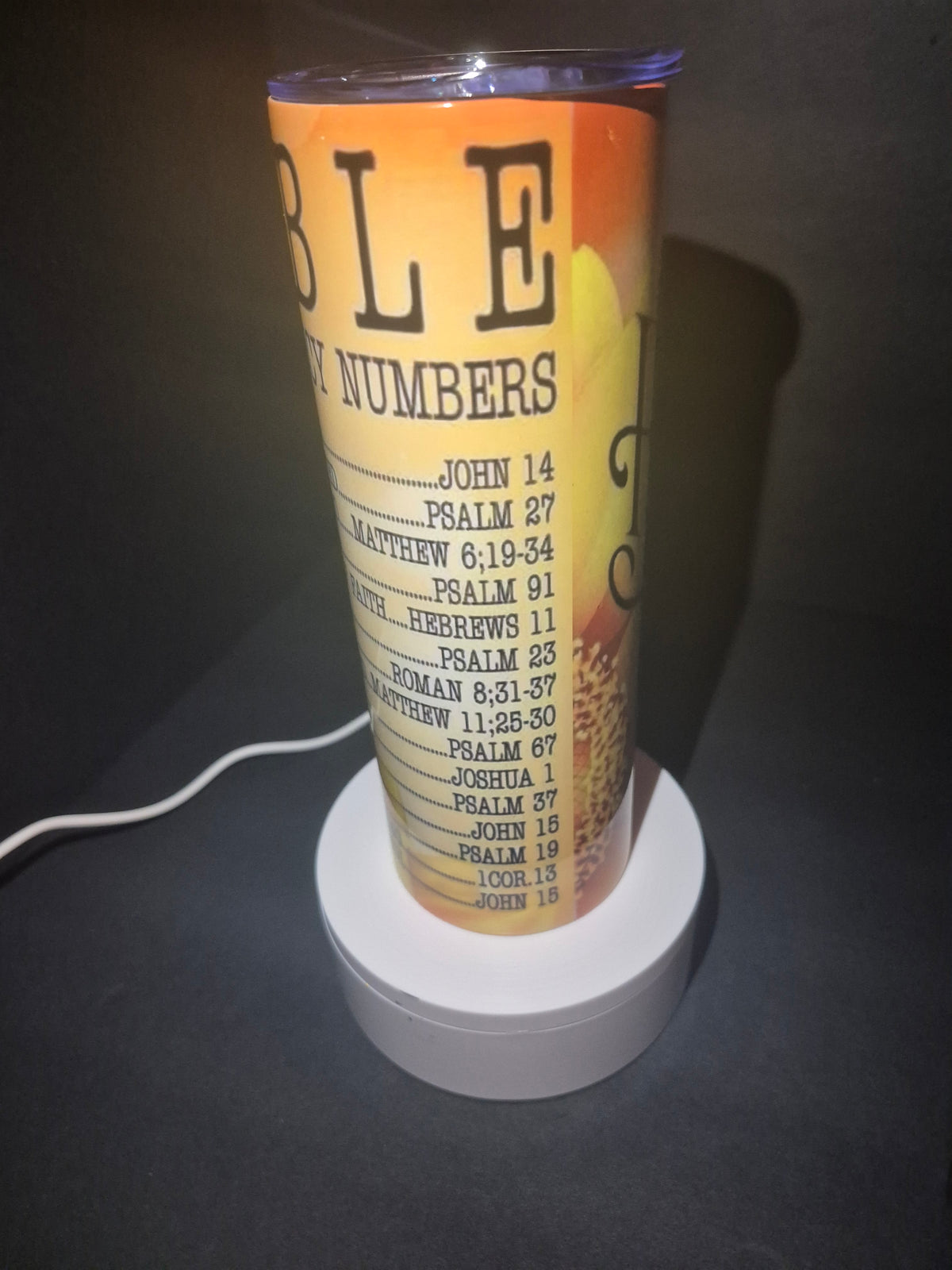 Emergency BIBLE numbers 20 oz stainless steel tumbler
